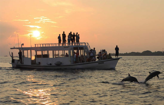 dolphin trips in goa,cruises in goa