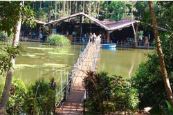 spice plantation in Goa, cruises in goa