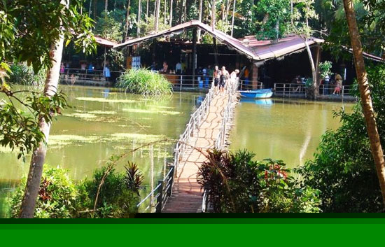 spice plantation in goa,cruises in goa